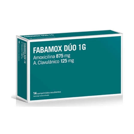 [385] FABAMOX DUO 1GR X 14 COMP. (AMOXI + CLAV) - A2